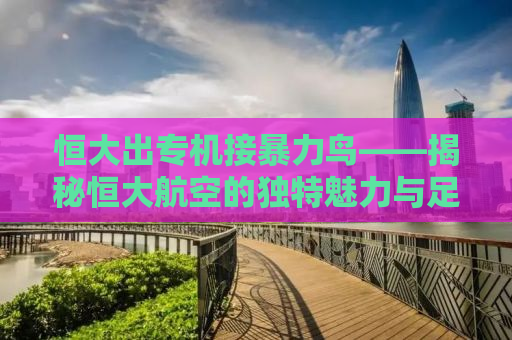 恒大出专机接暴力鸟——揭秘恒大航空的独特魅力与足球传奇的碰撞