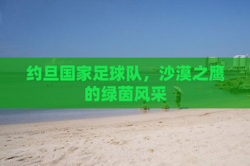 约旦国家足球队，沙漠之鹰的绿茵风采