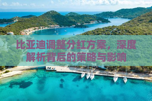 比亚迪调整分红方案，深度解析背后的策略与影响