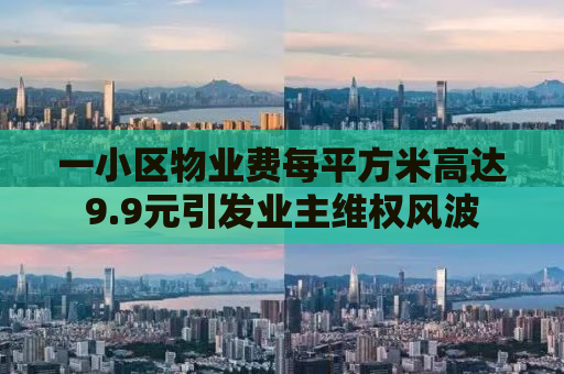 一小区物业费每平方米高达9.9元引发业主维权风波