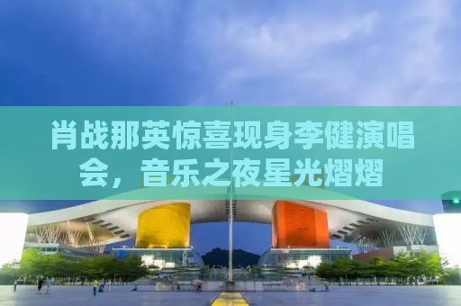 肖战那英惊喜现身李健演唱会，音乐之夜星光熠熠