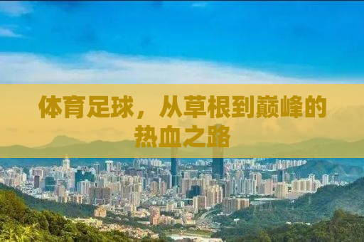 体育足球，从草根到巅峰的热血之路