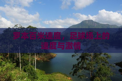 罗本百米速度，足球场上的速度与激情