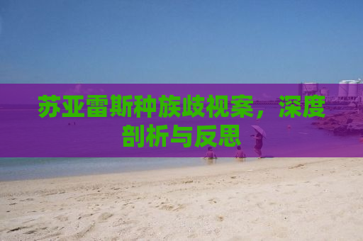 苏亚雷斯种族歧视案，深度剖析与反思