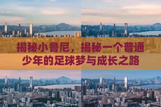 揭秘小鲁尼，揭秘一个普通少年的足球梦与成长之路