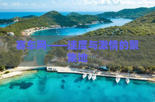 赛车网——速度与激情的聚集地