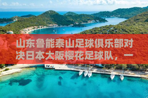山东鲁能泰山足球俱乐部对决日本大阪樱花足球队，一场东西方的足球盛宴