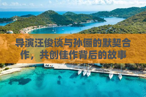 导演汪俊谈与孙俪的默契合作，共创佳作背后的故事