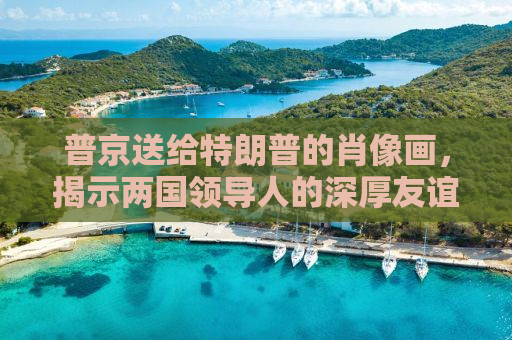 普京送给特朗普的肖像画，揭示两国领导人的深厚友谊与独特艺术视角