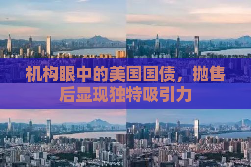 机构眼中的美国国债，抛售后显现独特吸引力