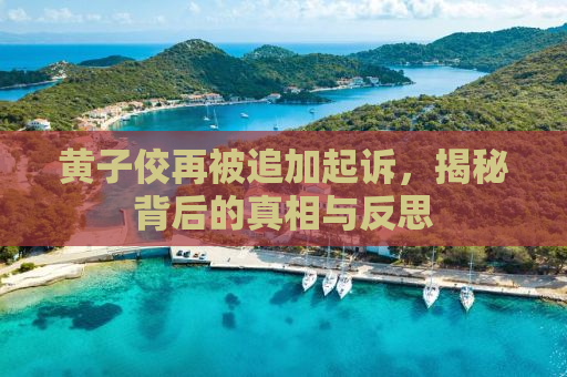 黄子佼再被追加起诉，揭秘背后的真相与反思
