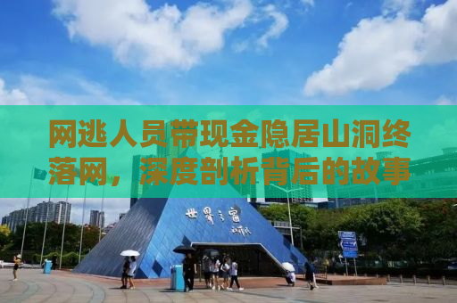 网逃人员带现金隐居山洞终落网，深度剖析背后的故事与教训