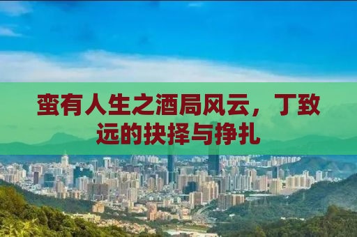 蛮有人生之酒局风云，丁致远的抉择与挣扎