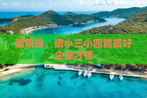 董明珠，搞小三小四能搞好企业才怪