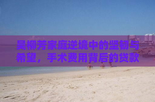 吴柳芳家庭逆境中的坚韧与希望，手术费用背后的贷款故事