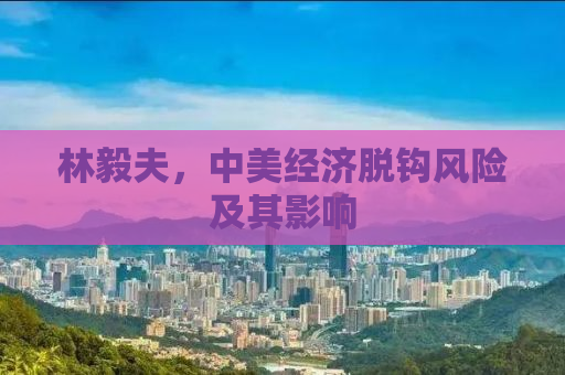 林毅夫，中美经济脱钩风险及其影响