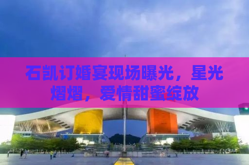石凯订婚宴现场曝光，星光熠熠，爱情甜蜜绽放