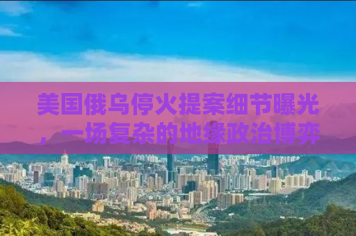 美国俄乌停火提案细节曝光，一场复杂的地缘政治博弈