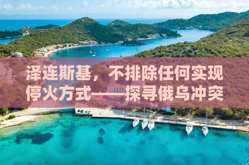 泽连斯基，不排除任何实现停火方式——探寻俄乌冲突的解决之道