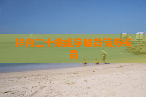 神舟二十乘组宇航员简历概览