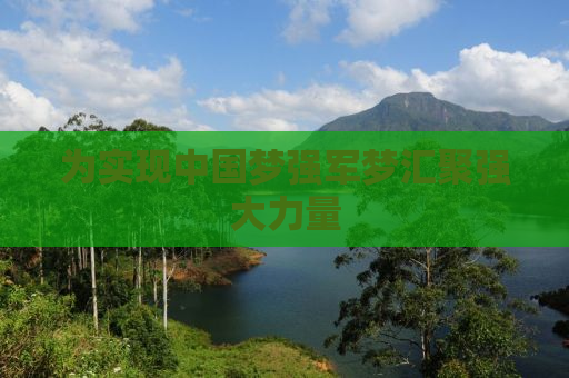 为实现中国梦强军梦汇聚强大力量