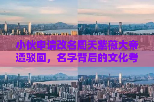 小伙申请改名周天紫薇大帝遭驳回，名字背后的文化考量与社会审视