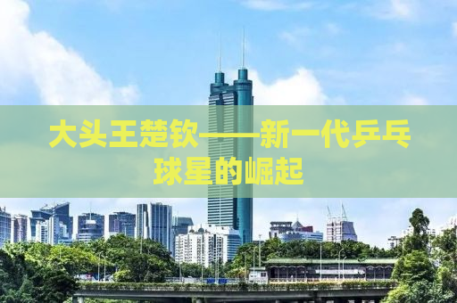 大头王楚钦——新一代乒乓球星的崛起