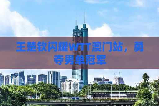 王楚钦闪耀WTT澳门站，勇夺男单冠军