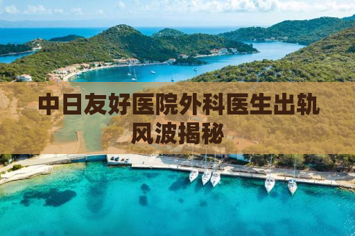 中日友好医院外科医生出轨风波揭秘