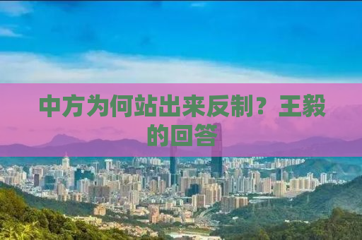 中方为何站出来反制？王毅的回答
