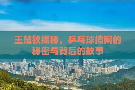 王楚钦揭秘，乒乓球擦网的秘密与背后的故事