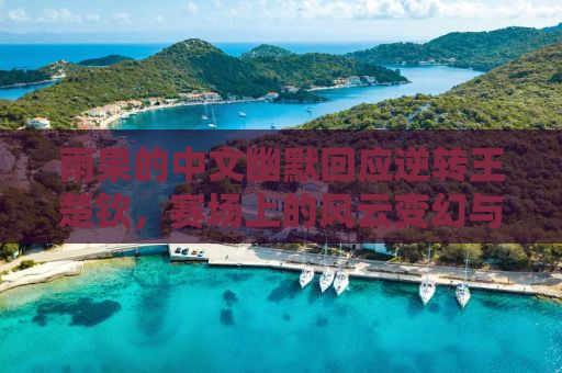 雨果的中文幽默回应逆转王楚钦，赛场上的风云变幻与挑战精神