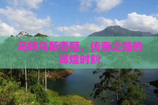马特乌斯夺冠，传奇之路的辉煌时刻